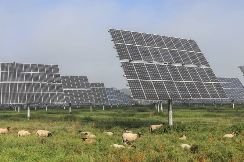 VICTIMES D'ARNAQUES AUX PANNEAUX PHOTOVOLTAIQUES ET PAC : ATTENTION AUX TRANSACTIONS PROPOSEES !